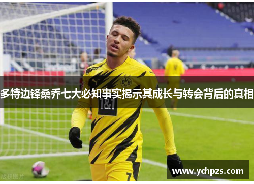 多特边锋桑乔七大必知事实揭示其成长与转会背后的真相