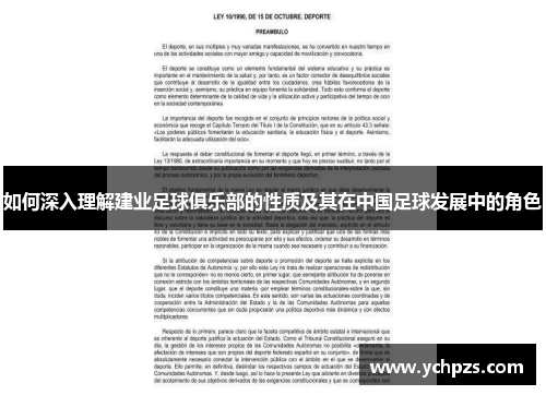 如何深入理解建业足球俱乐部的性质及其在中国足球发展中的角色