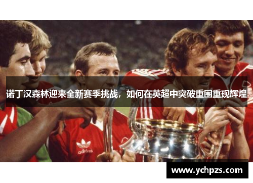 诺丁汉森林迎来全新赛季挑战，如何在英超中突破重围重现辉煌