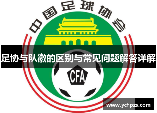 足协与队徽的区别与常见问题解答详解